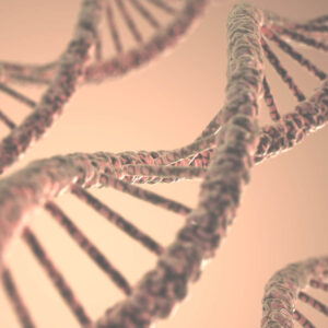 DNA & Stem Cell