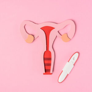 Reproductive system